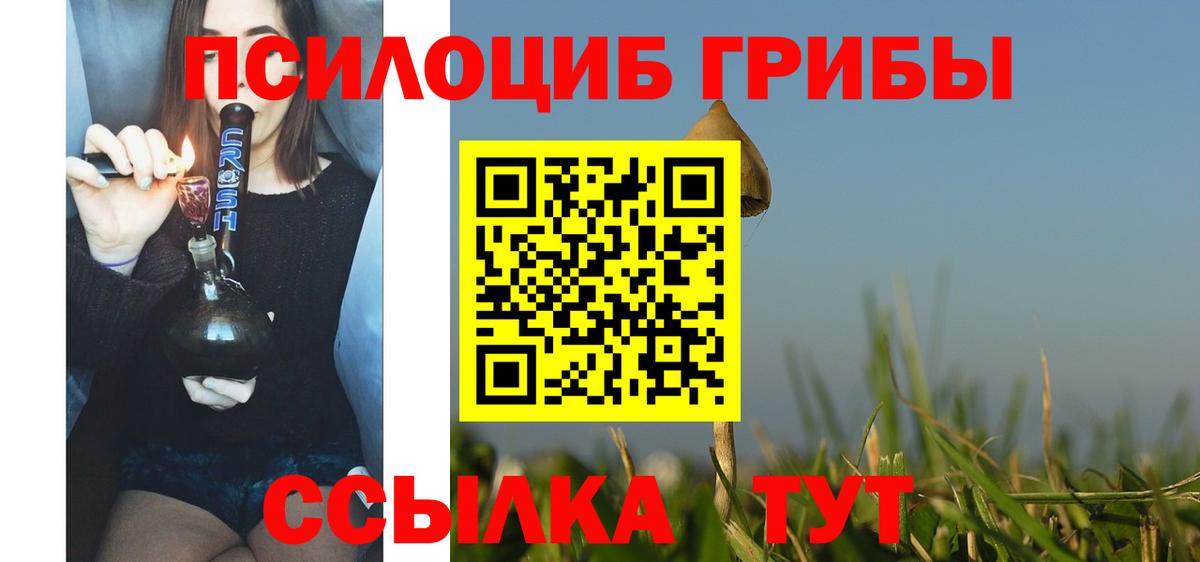Псилоцибиновые грибы Cubensis Артёмовский